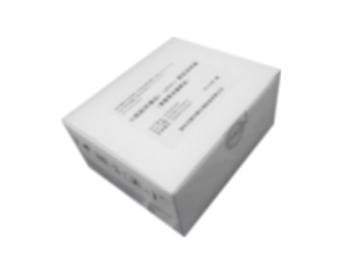 白细胞介素-6（IL-6）测定试剂盒
